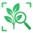 Plant Hero Icon