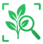 Plant Hero Icon