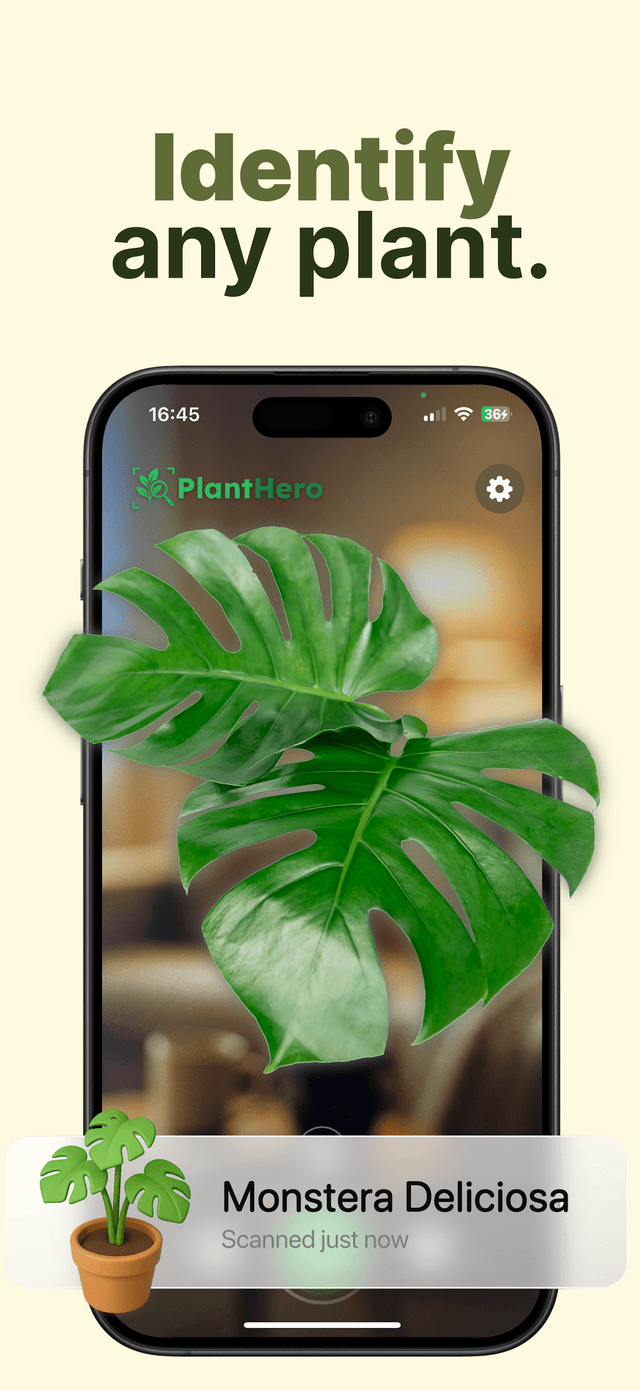 Plant Hero App Screenshot 1